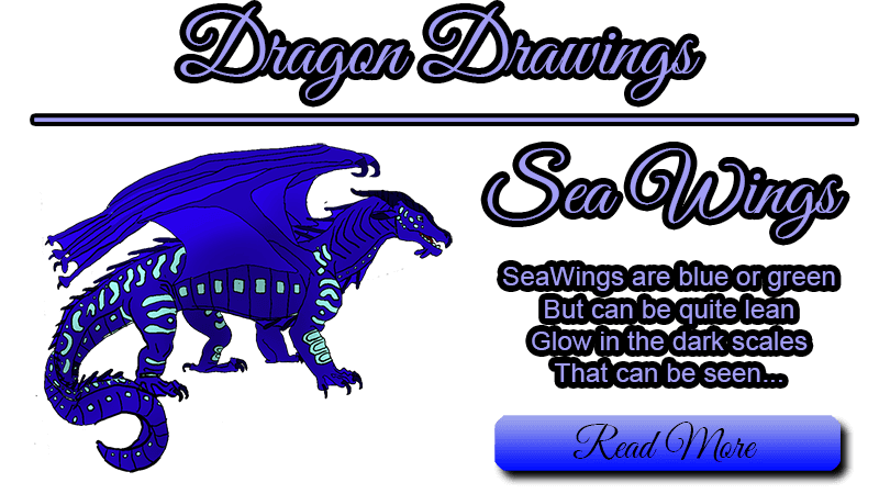 Dragon Drawings